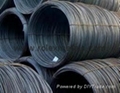 Carbon Steel & Alloy Steel Wire Rods