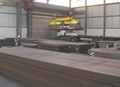 AR400/500 RAEX 400/500 FORA 400/500 Plates