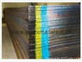 S355N S420N S460N SAILMA 450HI High Tensile Plate
