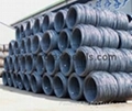 EWNR H08A H08E SWRY11 E.Q Wire Rod